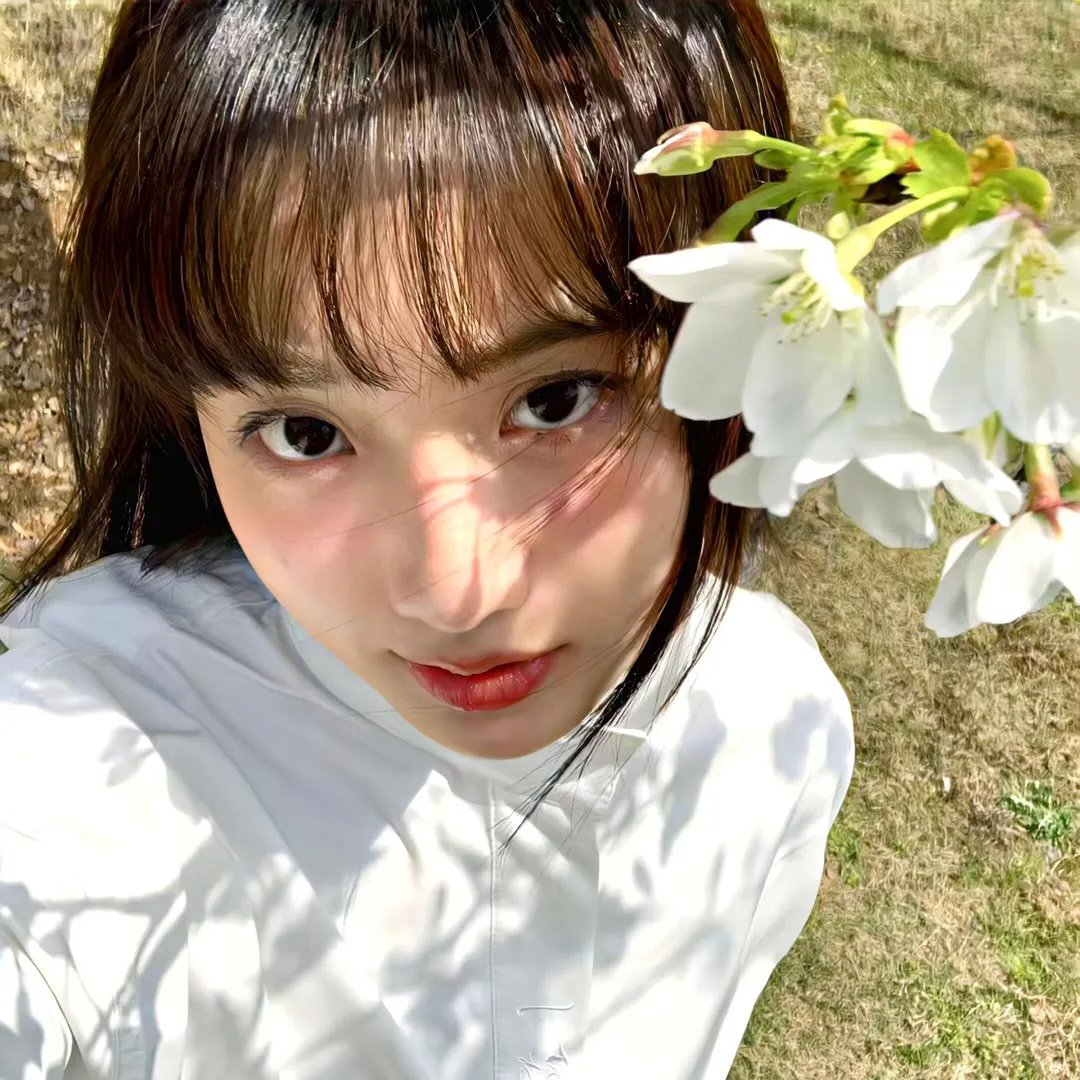 青春浪花