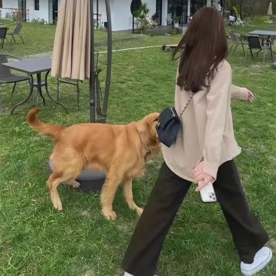 美发秀